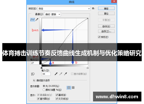 体育搏击训练节奏反馈曲线生成机制与优化策略研究