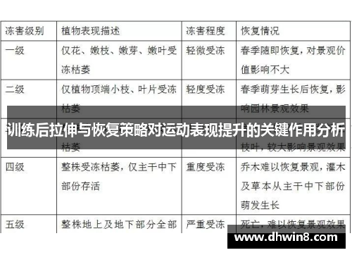 训练后拉伸与恢复策略对运动表现提升的关键作用分析